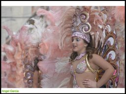 Carnaval de Mula 2014